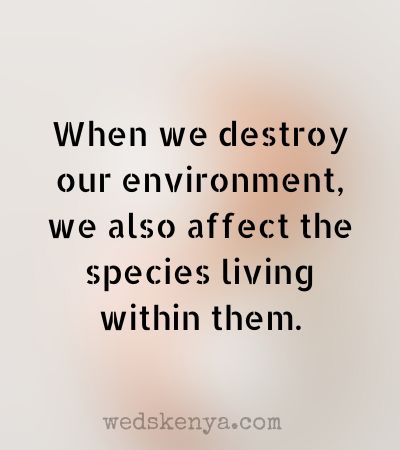 Quotes about Wildlife Conservation - Weds Kenya